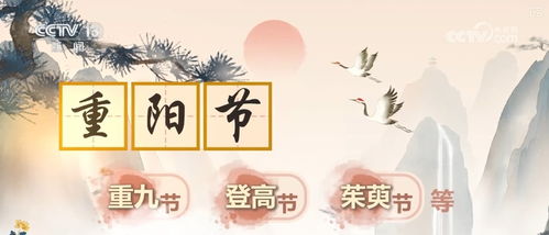 文化中国行 何以重阳 180秒看 新 变